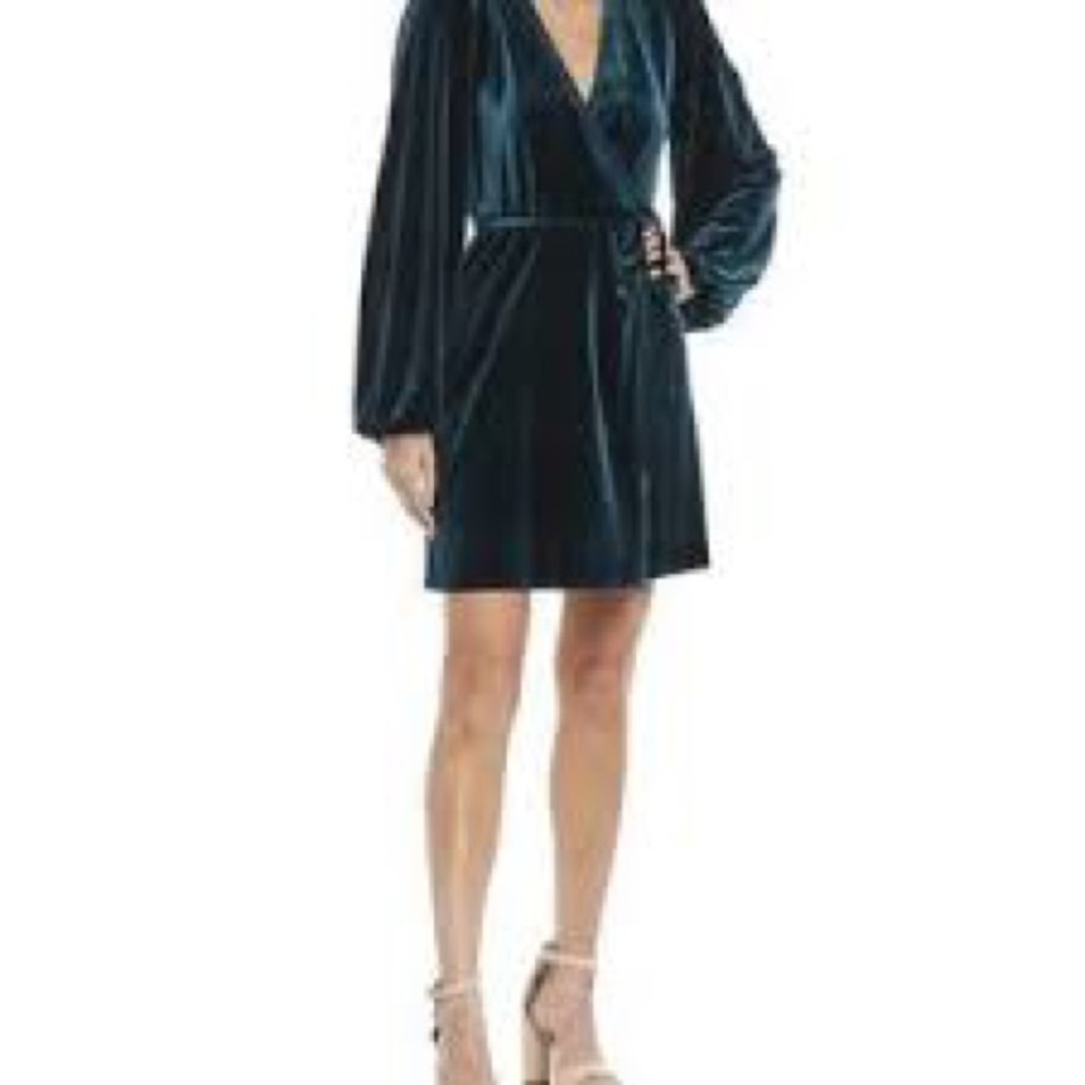 Gianni Bini Leighton Velvet Wrap Dress